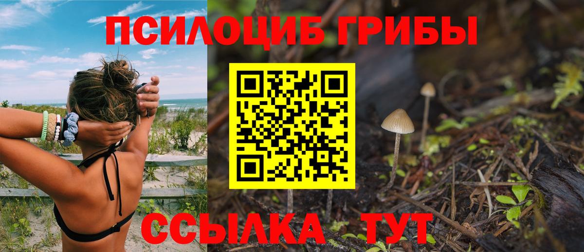 Галлюциногенные грибы мицелий  Вход с VPN  Красный Сулин 